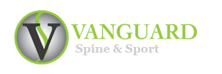 vanguard_Logo_graysub-1